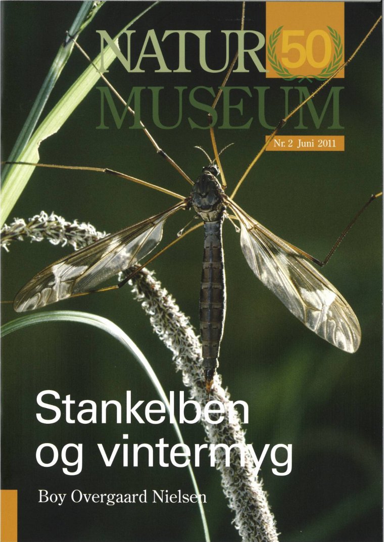 Stankelben og vintermyg
